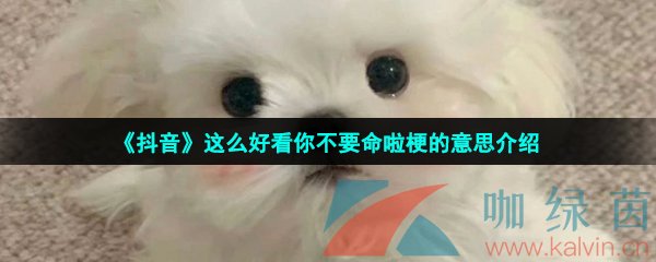 《抖音》这么好看你不要命啦梗的意思介绍