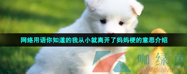 你知道的我从小就离开了妈妈是什么梗-你知道的我从小就离开了妈妈梗的意思介绍