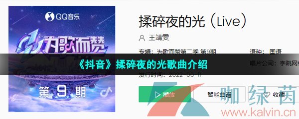 《抖音》揉碎夜的光歌曲介绍